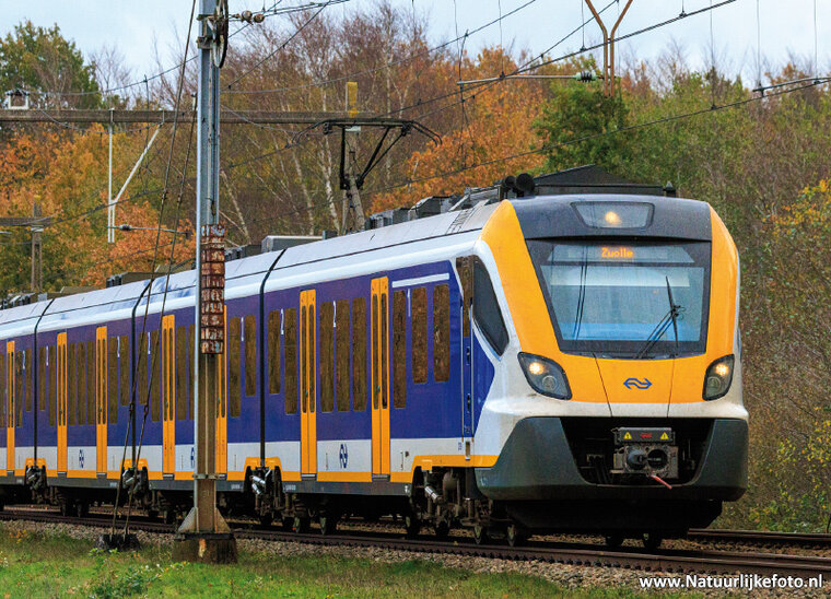 NS train in autumn postcard (0744)