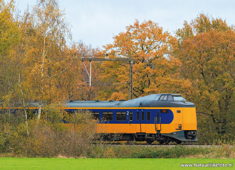 NS train in autumn postcard - de koploper (0747)