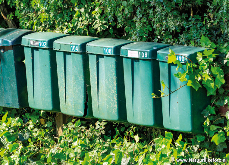postcard green mailboxes (0779)