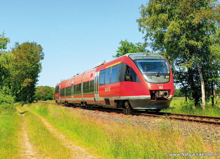 postcard DB Regio train (0786)
