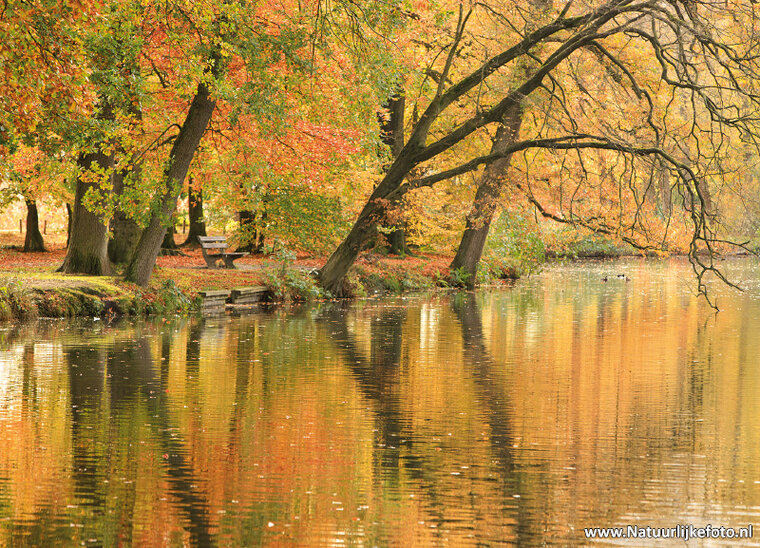 Bench in autumn postcard (0601)