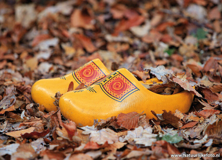 Clogs in autumn postcard (0607)