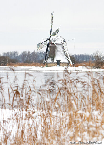 Ypey mill postcard (0622)