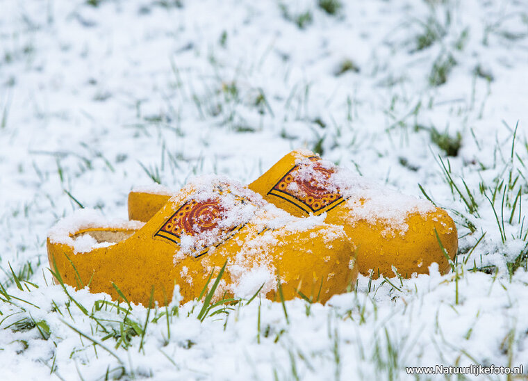 Clogs in snow postcard (0638)