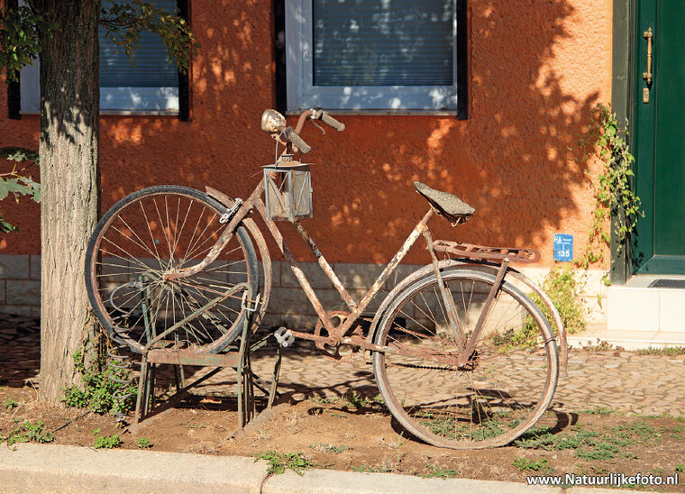 Rusty bike postcard (0666)