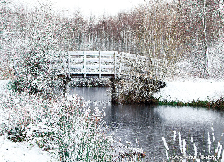 Bridge in winter postcard (0502) Bridge in winter postcard (0502)
