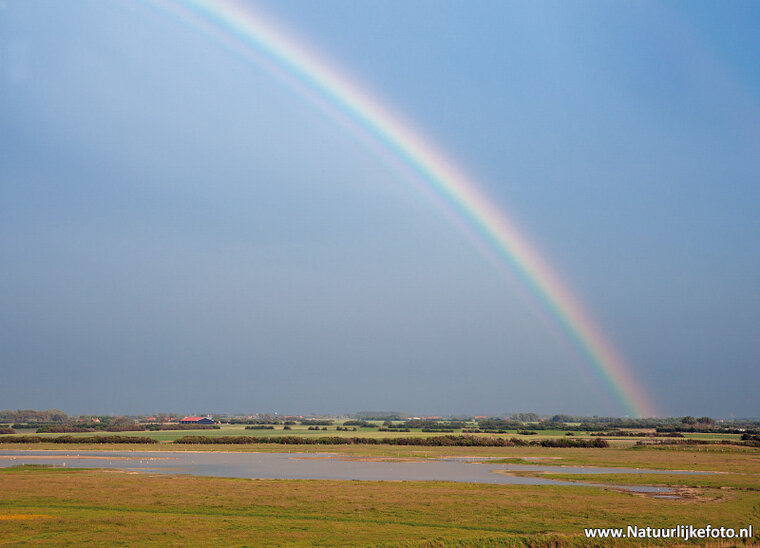Rainbow postcard (0505)