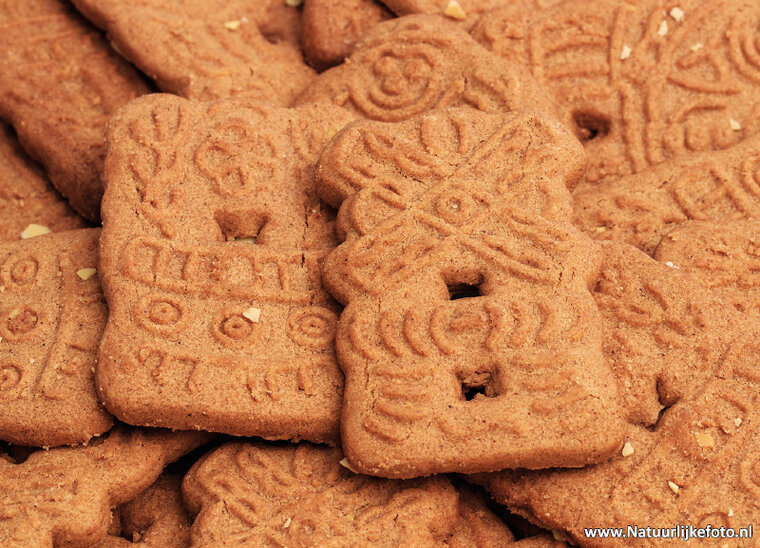 Speculoos postcard (0512)