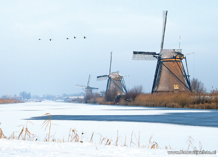 World heritage postcard - Mills of Kinderdijk