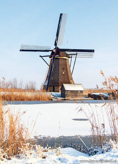 postcard mill at Kinderdijk