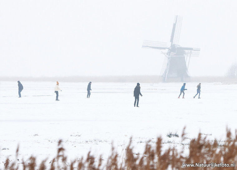 Ypey mill with skaters postcard (0517)