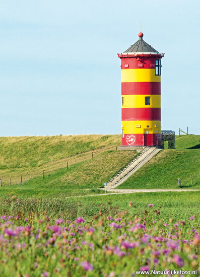 Pilsum lighthouse postcard (0523)