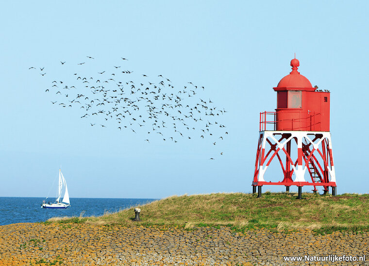 Stavoren harbor light postcard (0549)