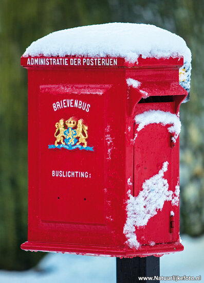 postcard red mailbox in the snow (0560) postcard red mailbox in the snow (0560)