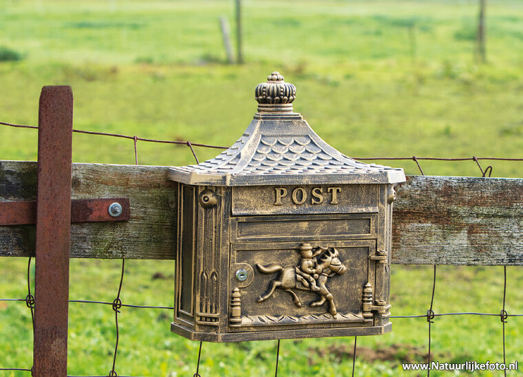 postcard letterbox with horse (0592)