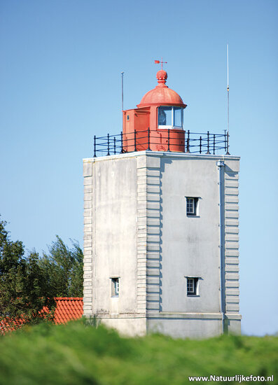 postcard Enkhuizen - lighthouse de Ven (0599)