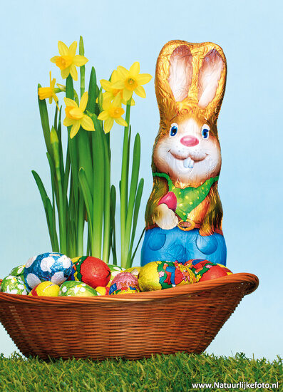 Easter bunny postcard (0405)