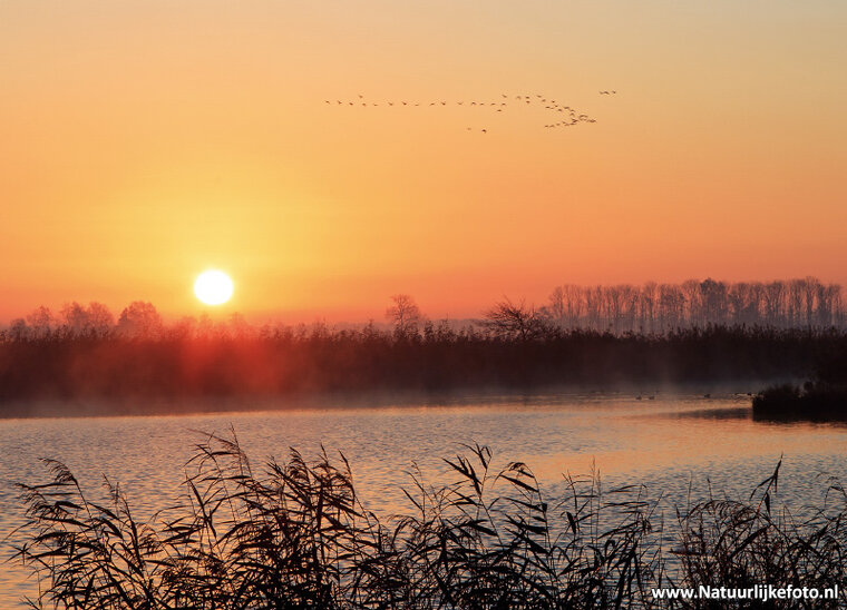 Onlanden sunrise postcard (0440)