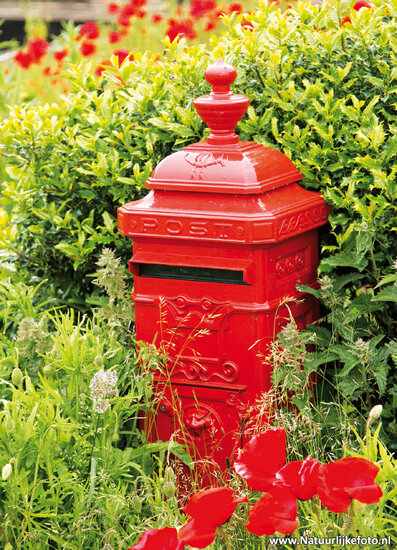 postcard red mailbox (0464)