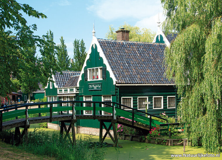 Zaanse Schans postcard (0484)
