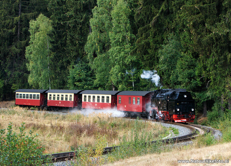 Selketalbahn in the Harz postcard (0490)
