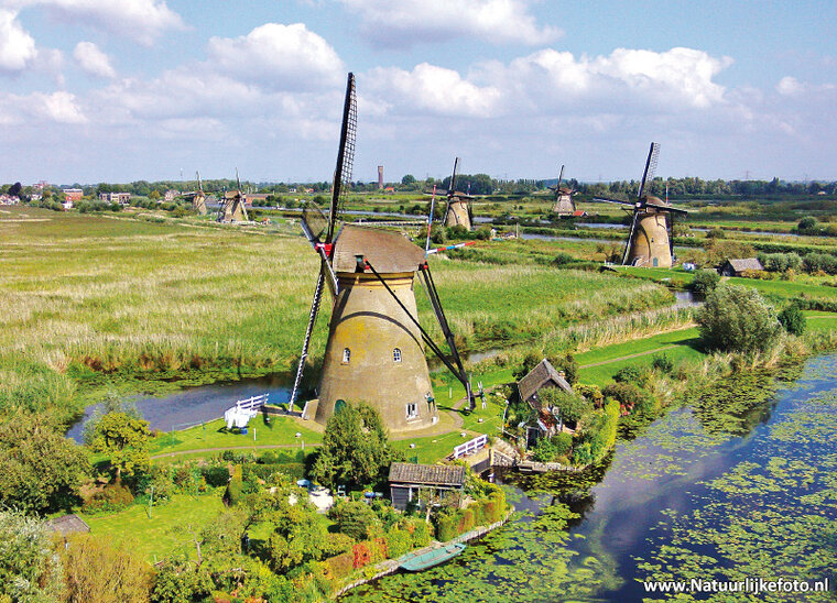 postcard mills from Kinderdijk
