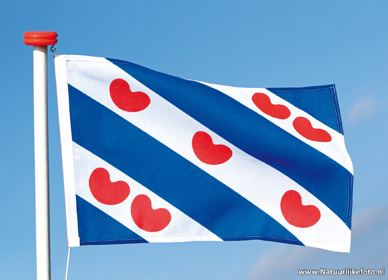 Friesland flag postcard (0312)