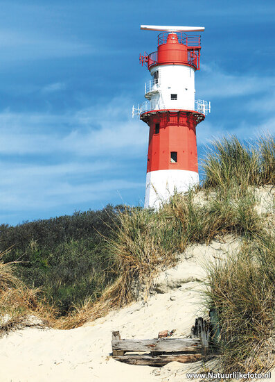 Borkum lighthouse postcard (0333)