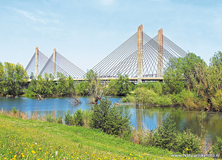 Martinus Nijhoff bridge in Zaltbommel postcard (0334)