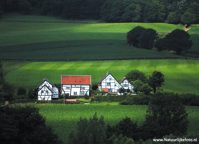 postcard Limburg half-timbered houses