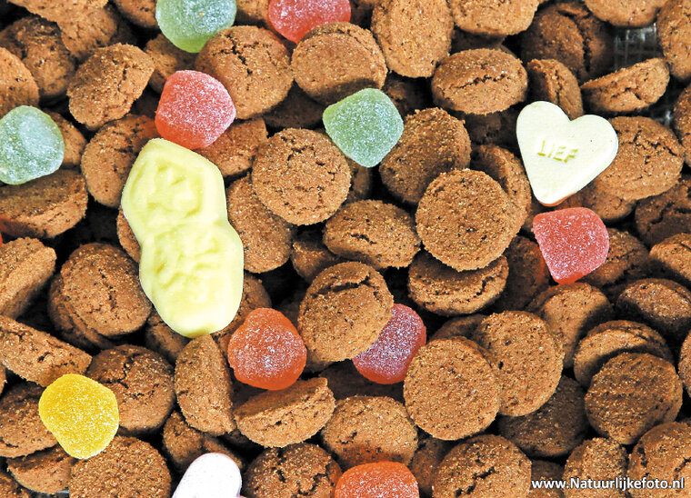 Gingerbread cookies postcard (0354)