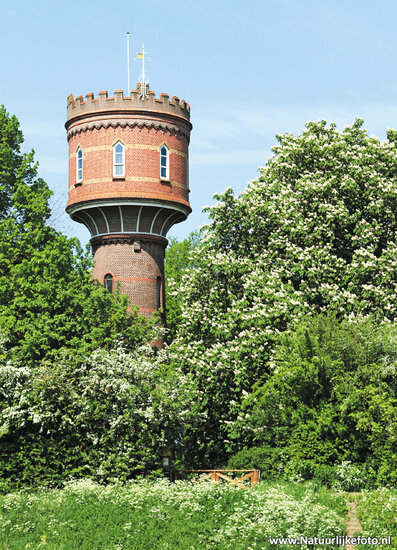 Water tower Zaltbommel postcard (0363)