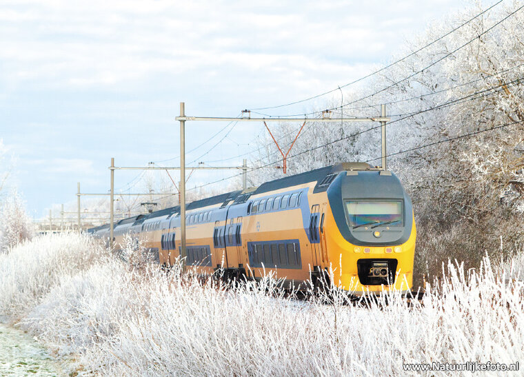 NS train postcard (0366)