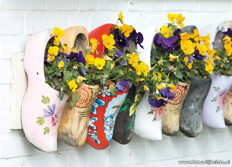 Clogs with flowers postcard (0368)