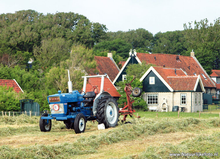 postcard tractor Ford 3000 (0371)