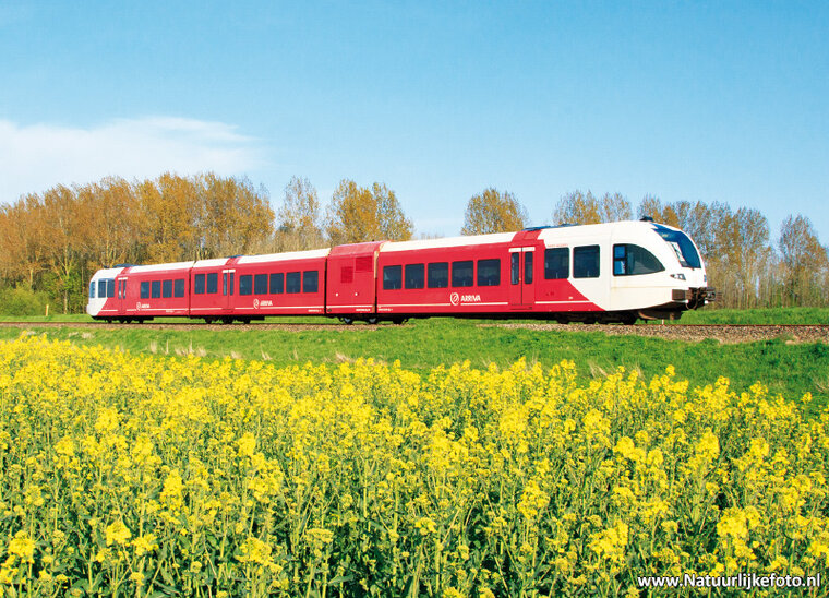 Arriva train postcard - with rapeseed field (0385)