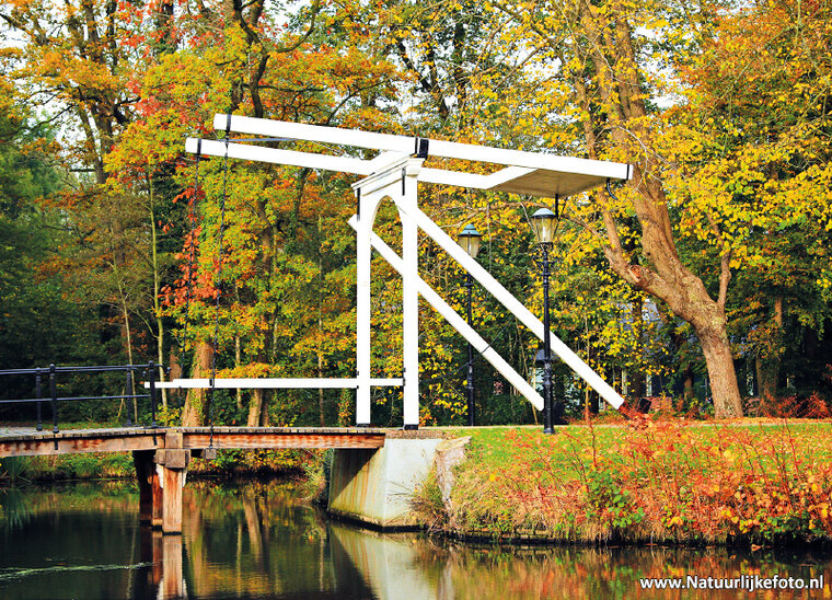 Drawbridge Estate Nienoord postcard (0202)
