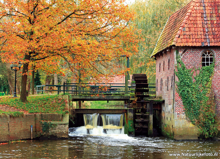 Berenschot's watermill postcard (0203)