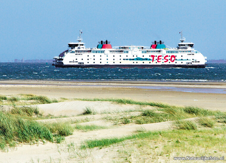 postcard ferry TESO Dokter Wagemaker (0261)