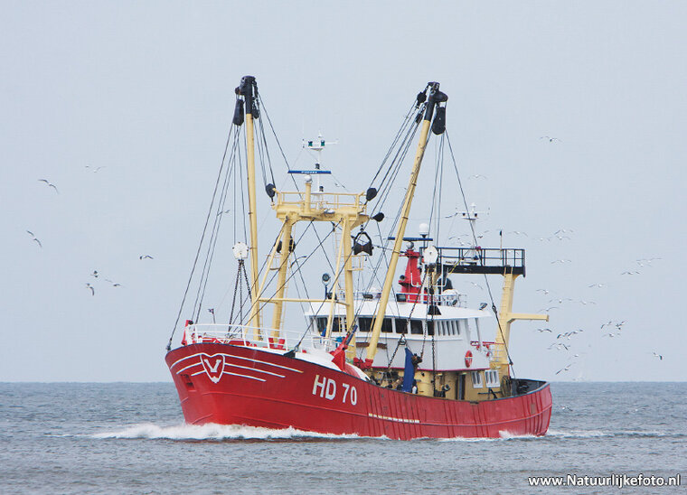 postcard fishing boat (0265)