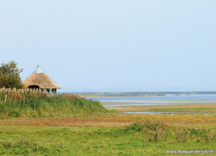Lauwersmeer postcard (0284)