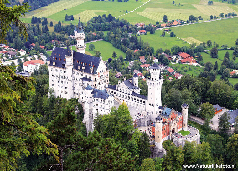 postcard castle Neuschwanstein (0295)