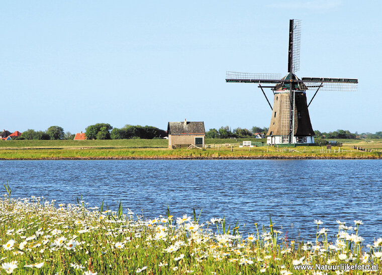 Mill North - Texel postcard (0300) Mill North - Texel postcard (0300)