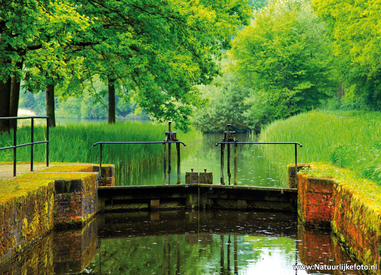 Lock postcard (0114)