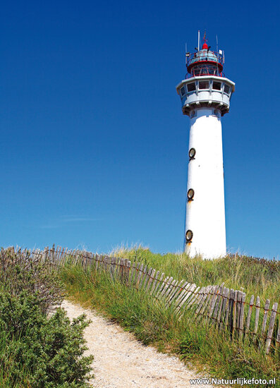 Egmond aan Zee lighthouse postcard (0119)