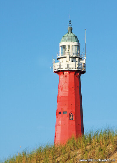 Scheveningen lighthouse postcard (0142)