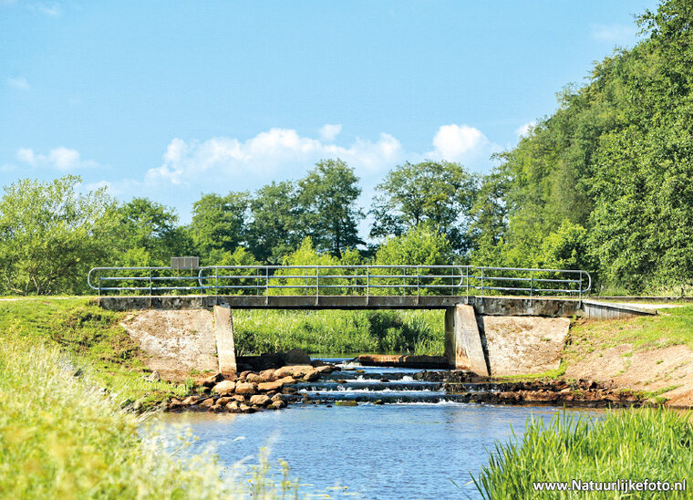 Fishway postcard (0146)