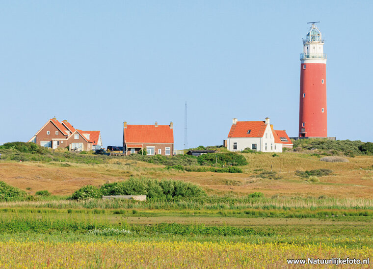 Texel lighthouse postcard (0166)