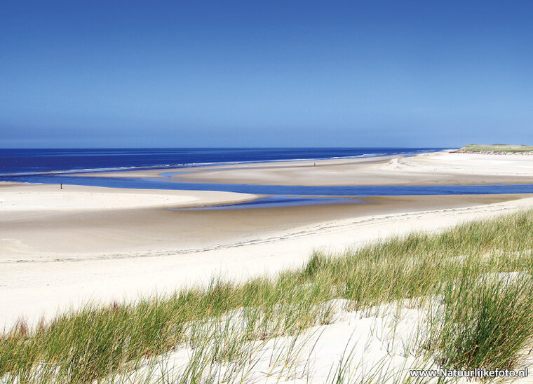 De Slufter - Texel postcard (0167)