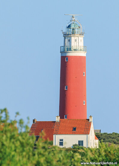 Texel lighthouse postcard (0170)